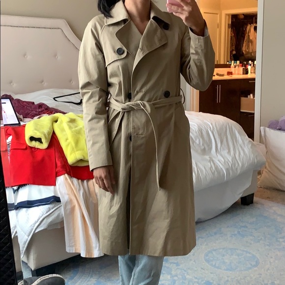 everlane trench coat